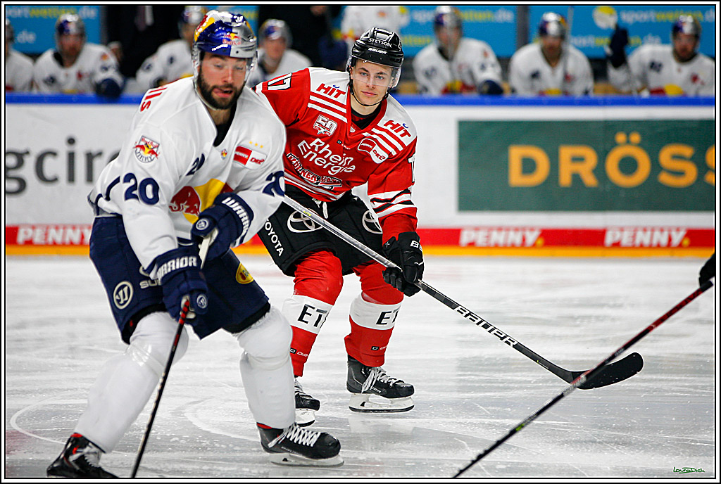 PENNY DEL; Koelner Haie- Red BUll Muenchen; Koeln, 08.11.2022